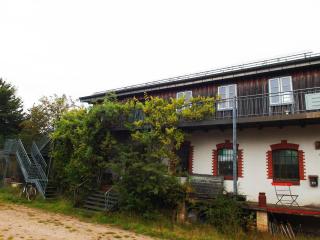 Loftwohnung-hell-geraeumig-antik-zentrale-Lage-in-Suederbrarup - 5