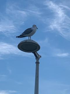 Appart Cap D’agde - 7