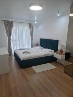 New Metropolitan - 2