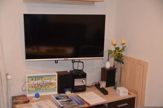 FeWo Deichblick Wischhafen - 5