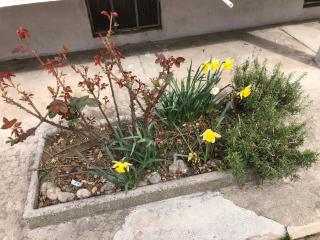 House vittone venaria reale 2 - 9