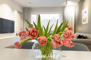 Das Haus Apartment#Luxury residential#Balcony#Free parking - 6