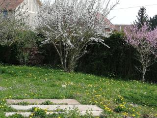 14 Rue le Menestrel - Dreux - 1