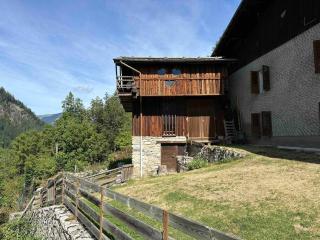 Mountain house with two barns and a garden - Planay - 7