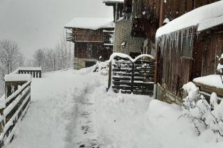 Mountain house with two barns and a garden - Planay - 3