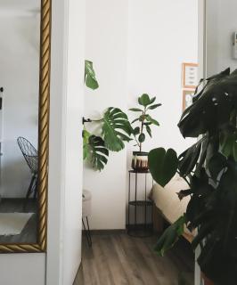 Urban Jungle Apartment - Free Parking - Lubiana - 8