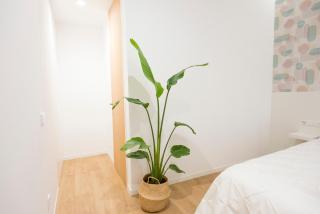 Loft Solpor do Carril 50 playa - 5