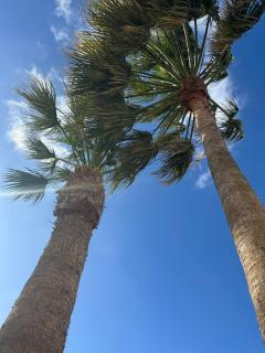 Luxury Canarian villa with large pool in Costa Teguise - Teguise - 1