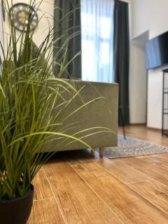 Apartament Krasińskiego - Przemyśl - 9