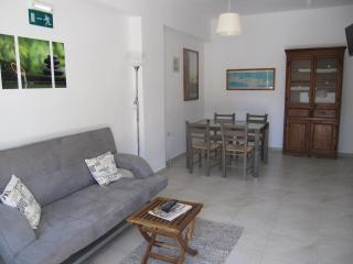 Lion-Suites - 5
