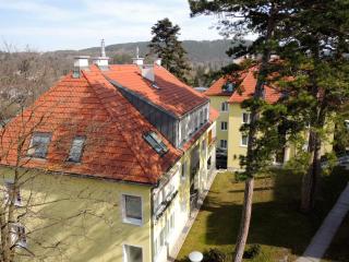 Appartement Föhrenvilla - Mödling - 2