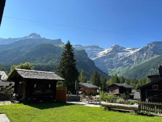 1 room apt, kitchen, patio, in beautiful chalet - Les Diablerets - 1