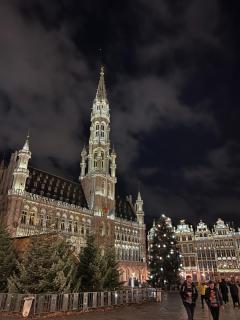 cute studio in brussel - Brussel - 5