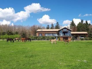 Villa contemporaine à la campagne - Promo rentrée - Saint-Papoul - 9