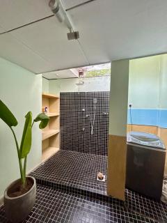 The Little House - 3