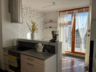 Rooftop apartment with pergola and parking - Prague - 7