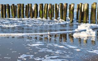 La Mare - Zoutelande - 2
