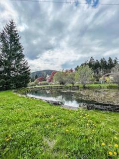 Apartmán pod Prokopem - 6