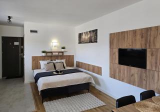 Willa Sowia nowe apartamenty z pięknym widokiem na góry i potok - 2