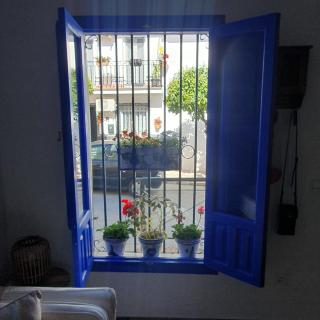 Casa Haarlemeña - Monda - 8