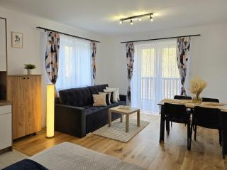 nowy apartament Bielikówka z prywatnym ogrodzonym tarasem w Willi Sowiej - Stronie Śląskie - 1