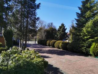 Apartamenty Simon - 1