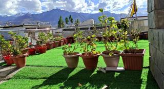 PASANG HOMESTAY - Leh - 5