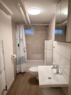 Unique souterrain apartment - Heilbronn - 4