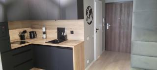 Hanza Tower Apartament 306, BASEN, SAUNA, JACUZZI, FITNESS - Szczecin - 2