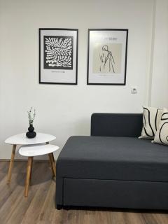 Astra Apartment near the main train station - Novi Sad - 9