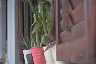 Canyon Matka Nature Apartments with a terrace - 8