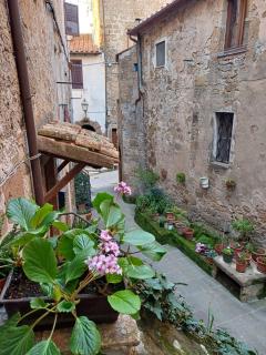casa il Girasole Pitigliano - Pitigliano - 4