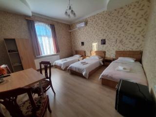 Gogi's Paradise Guesthouse - Akhmeta - 7
