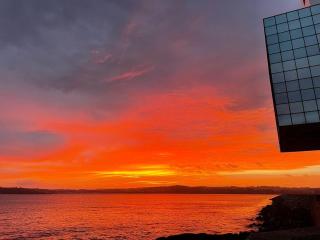 La Casa de María Pita - A Coruña - 0