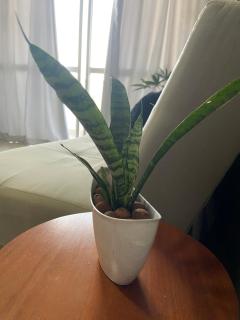 Apartamento aconchegante e bem localizado! - Vitória - 1