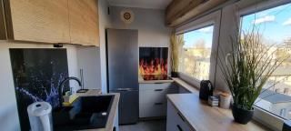 Apartamenty Łódź, Atlas Arena, Manufaktura, Zoo, parking - Łódź - 7
