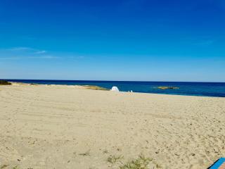 Los girasoles de Veneziola - La Manga del Mar Menor - 5