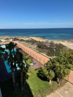 Los girasoles de Veneziola - La Manga del Mar Menor - 9