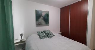Amplio Dpto 2 dorm zona norte - 3