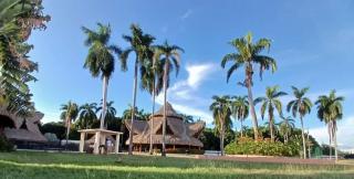 Apartamento Vacacional Flandes - 8