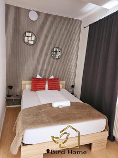 Bird Home Room 11 - Klagenfurt - 8