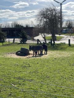 Beltblick - Fehmarn - 4