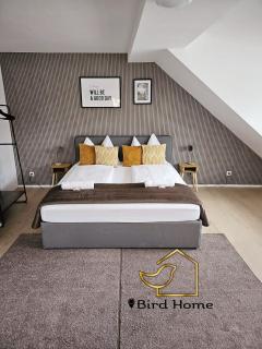 Bird Home Room 15 - 7