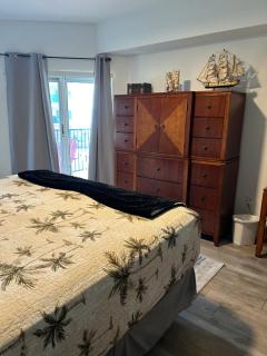 Seashell Escape - New Smyrna Beach - 8