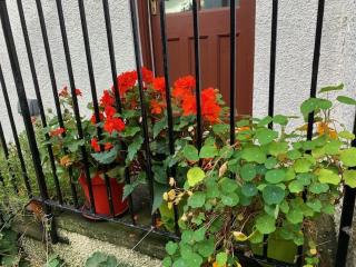 Arkland - Inveraray - 4