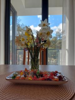 Apartman SANJALICA Divčibare - Divčibare - 2