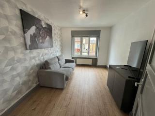 T3 Premium - Calme & spacieux 6-12 personnes - Belfort - 6