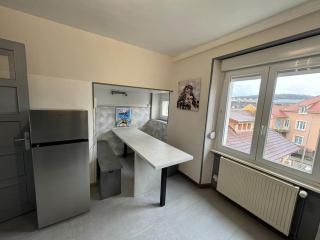 T3 Premium - Calme & spacieux 6-12 personnes - Belfort - 5