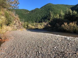 The River Shack - Nelson - 0