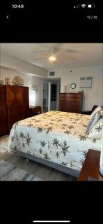Seashell Escape - New Smyrna Beach - 7